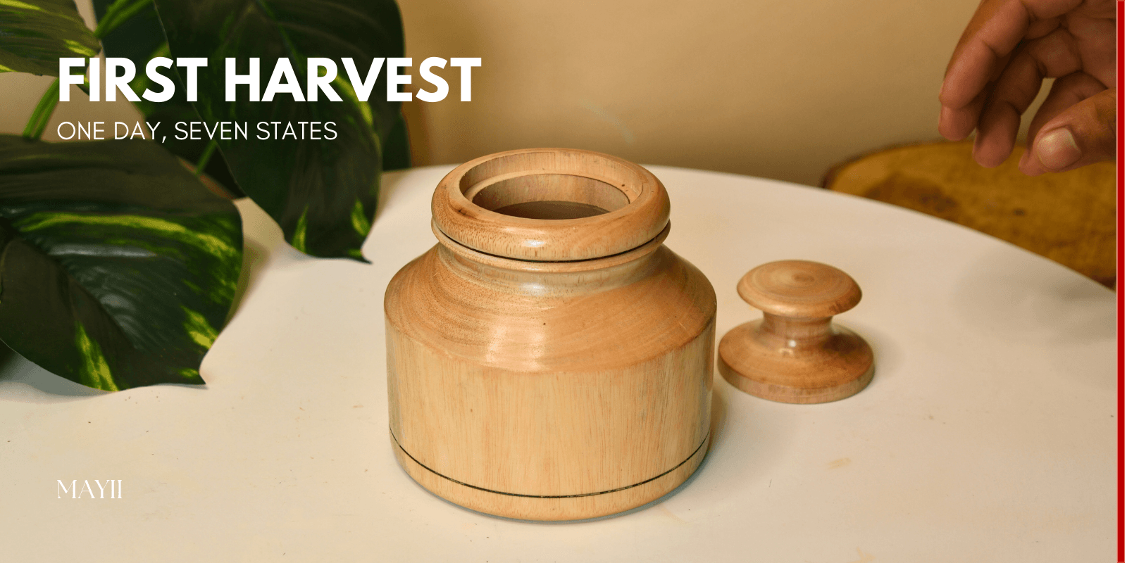 One Day, Seven States: How Sankranti is Celebrated Differently Across India - Mayii