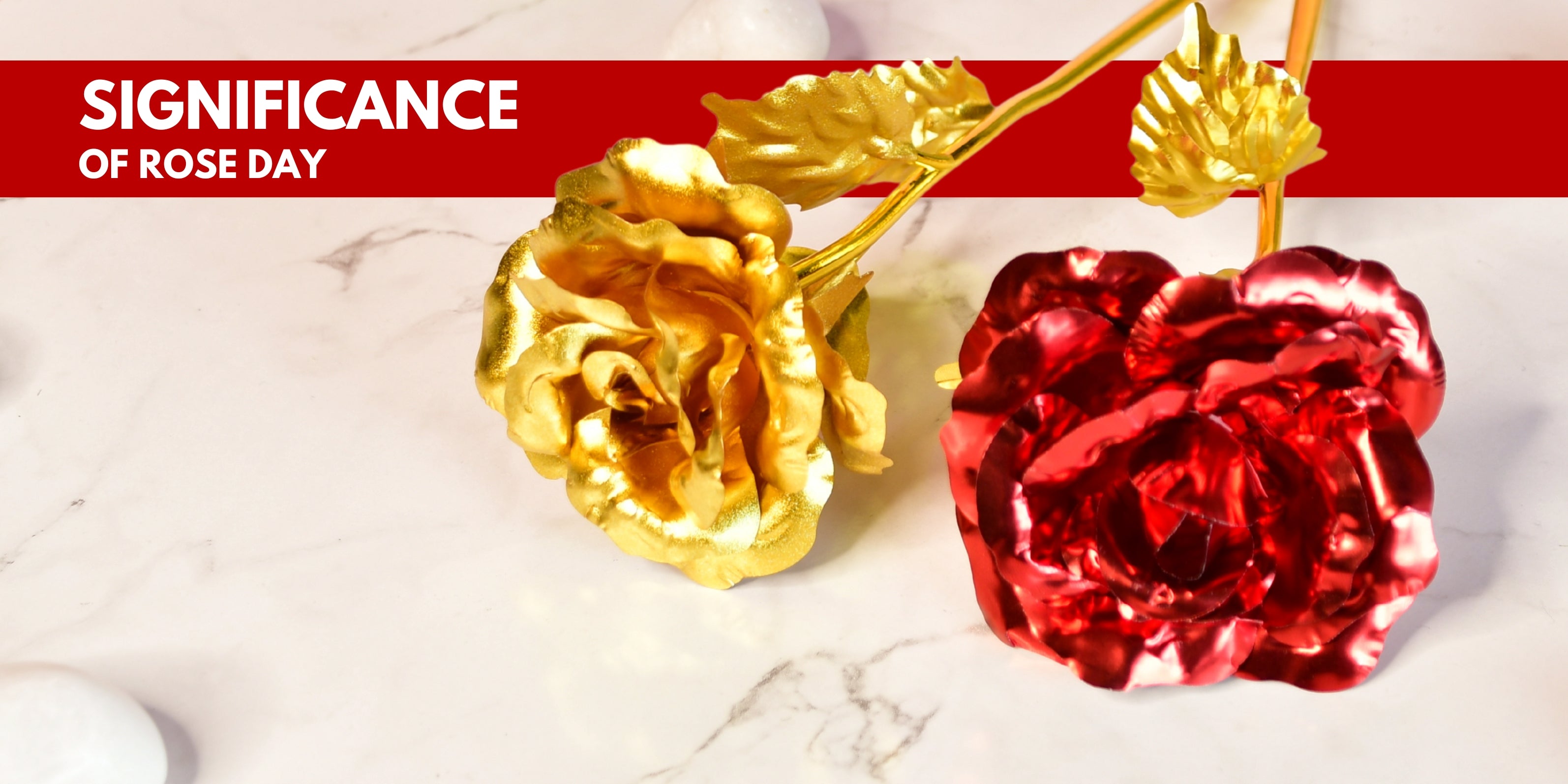 The Language of Roses: 8 Colors & Their Meaning on Rose Day🌹 - Mayii