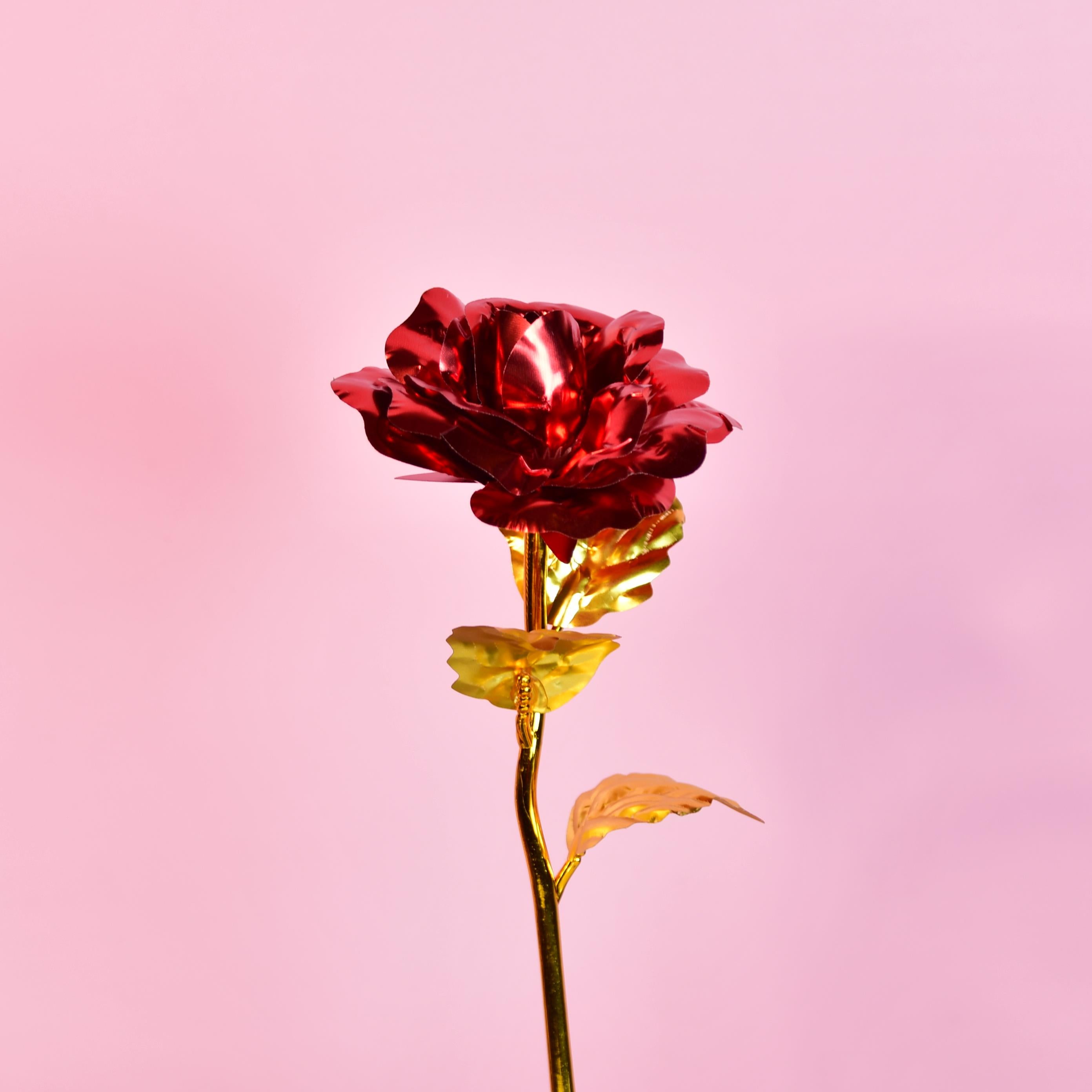 Mayii Scarlet Love - Mayii